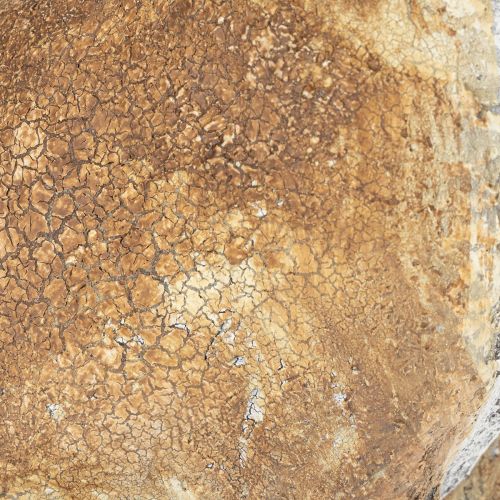 Artículo Figura decorativa de conejo para decorar el hogar en primavera, 32 cm, 2 piezas