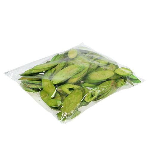 Floristik24 Discos decorativos de madera primavera verde 300g