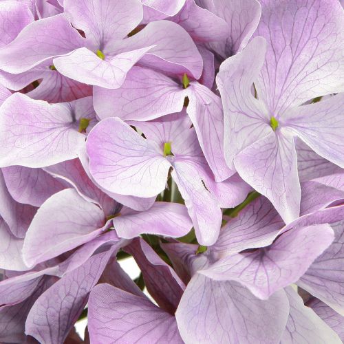 Artículo Decoración Hortensias Flores Artificiales Flor Púrpura Ø18cm 69cm 2uds