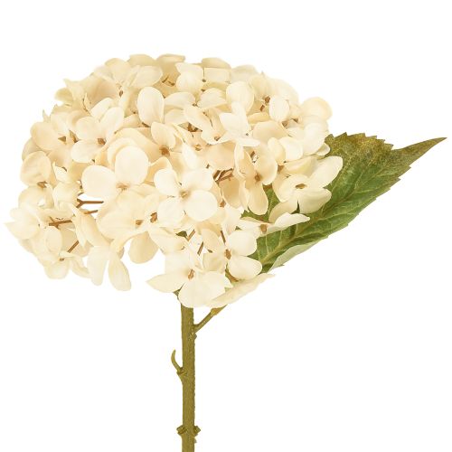 Hortensias decorativas artificiales de seda color crema, 34 cm, 2 unidades
