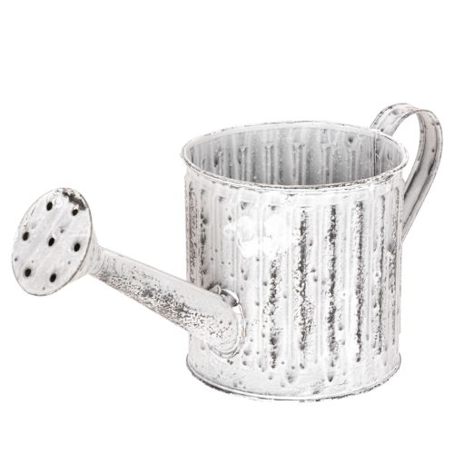 Regadera decorativa, maceta, regadera para plantar Ø10,5 cm comprar | Floristik24.es