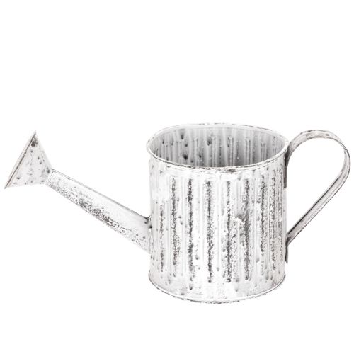 Regadera decorativa, maceta, regadera para plantar Ø10,5 cm | Floristik24.es