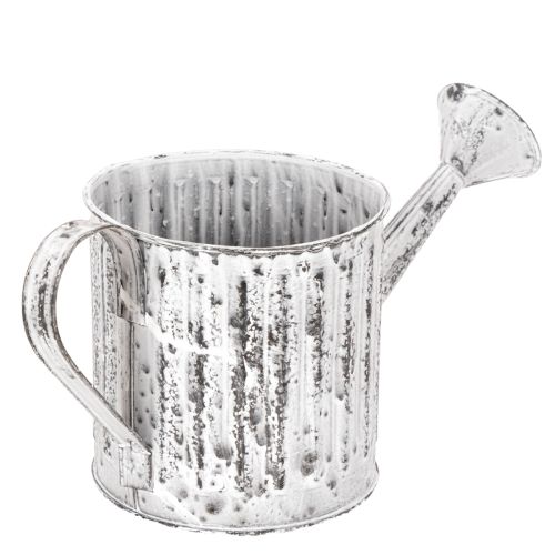 Regadera decorativa, maceta, regadera para plantar Ø10,5 cm | Floristik24.es