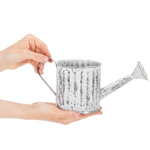 Regadera decorativa, maceta, regadera para plantar Ø10,5 cm | Floristik24.es