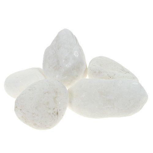 Floristik24 Guijarros decorativos en la red blanco 1cm - 2,5cm 1kg