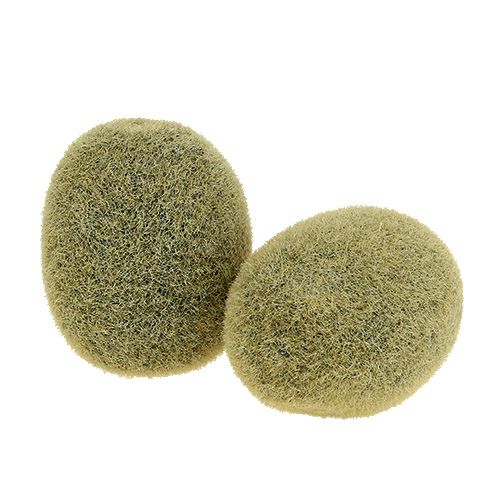 Floristik24 Decoración Kiwi 6cm 6pcs