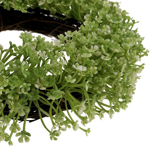 Floristik24 Corona decorativa verde Ø25cm