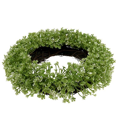 Floristik24 Corona decorativa verde Ø25cm