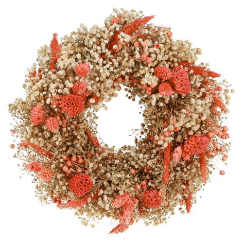 Floristik24 Corona decorativa flores secas corona de flores naranja crema Ø25cm