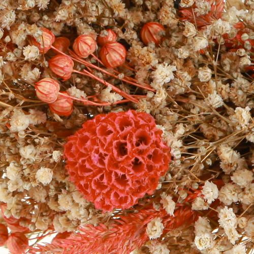 Artículo Corona decorativa flores secas corona de flores naranja crema Ø25cm