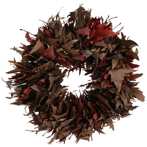 Floristik24 Corona decorativa para colgar corona de hojas de sicomoro natural Ø35cm