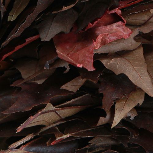 Artículo Corona decorativa para colgar corona de hojas de sicomoro natural Ø35cm