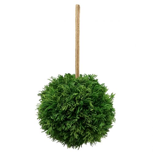 Floristik24 Bola de planta artificial para colgar verde Ø20cm