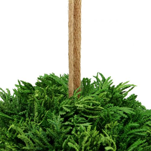 Floristik24 Bola de planta artificial para colgar verde Ø20cm