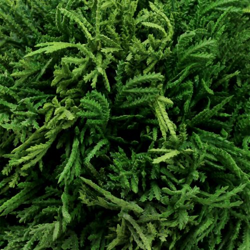 Floristik24 Bola de planta artificial para colgar verde Ø20cm