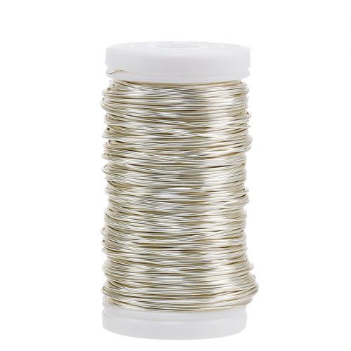Artículo Alambre esmaltado decorativo champagne Ø0,50mm 50m 100g