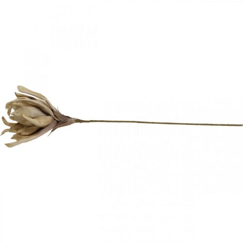 Floristik24 Deco flor de loto flor de loto artificial flor artificial beige L68cm
