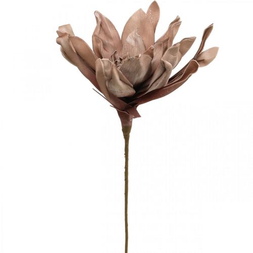 Floristik24 Deco flor de loto flor de loto artificial flor artificial marrón L68cm