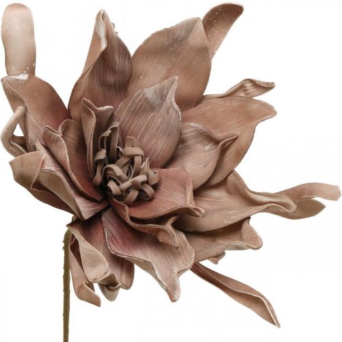 Deco flor de loto flor de loto artificial flor artificial marrón L68cm