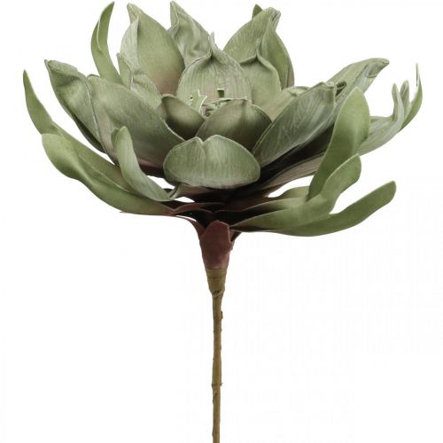 Deco flor de loto flor de loto artificial flor artificial verde L70cm