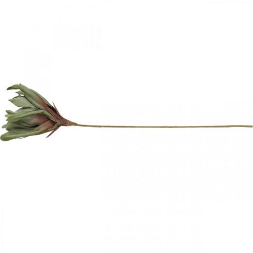 Floristik24 Deco flor de loto flor de loto artificial flor artificial verde L70cm