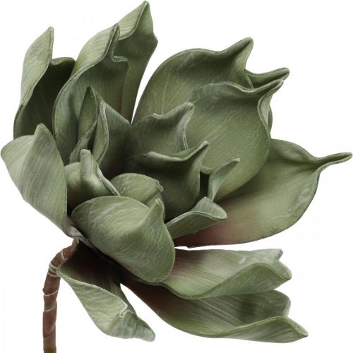 Artículo Deco flor de loto, flor de loto, flor de seda verde L64cm