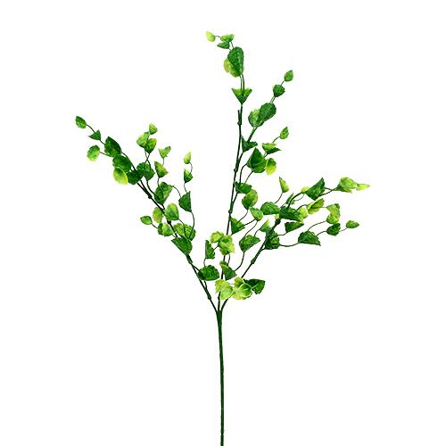 Floristik24 Ramita de menta decorativa verde L74cm 6uds