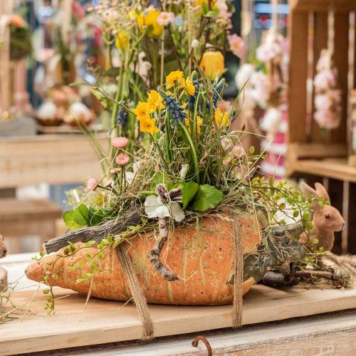 Zanahoria decorativa, decoración de hormigón para plantar, Pascua, maceta de zanahoria, decoración de primavera L28cm