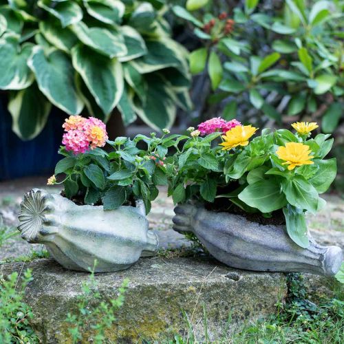Floristik24 Cápsula de amapola decorativa, jardinera de hormigón, macetero, decoración de tumbas L26cm