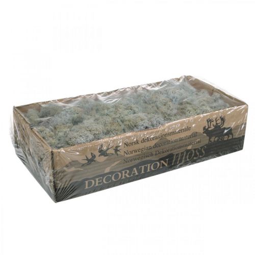 Artículo Musgo natural gris musgo decorativo para manualidades, seco, teñido 500g