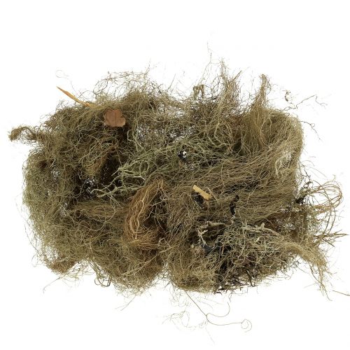 Floristik24 Deco musgo natural para elaborar 500g