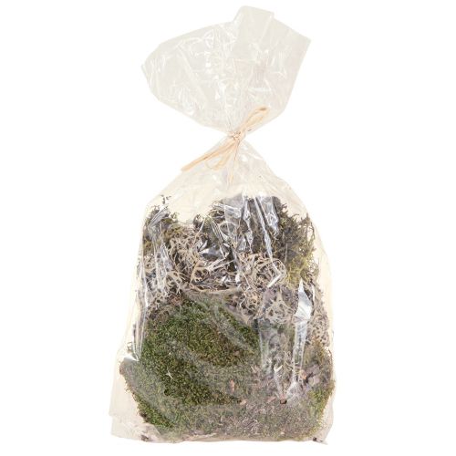Artículo Musgo decorativo para manualidades mezcla verde, musgo natural verde claro 75g