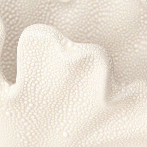 Artículo Jarrón decorativo de concha, mini jarrón de cerámica color crema, 14×7,5×9,5 cm