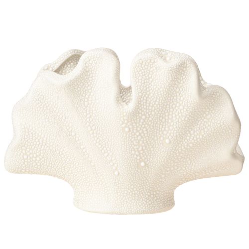 Artículo Jarrón decorativo de concha, mini jarrón de cerámica color crema, 14×7,5×9,5 cm