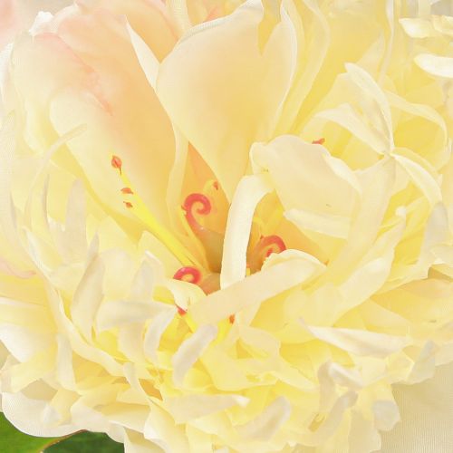 Artículo Decoración Peonías Flores Artificiales Flor Amarilla L64cm 2uds