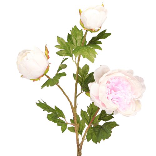 Artículo Decoración Peonías Rosa 3 Flores Tallo Largo L80cm 2uds