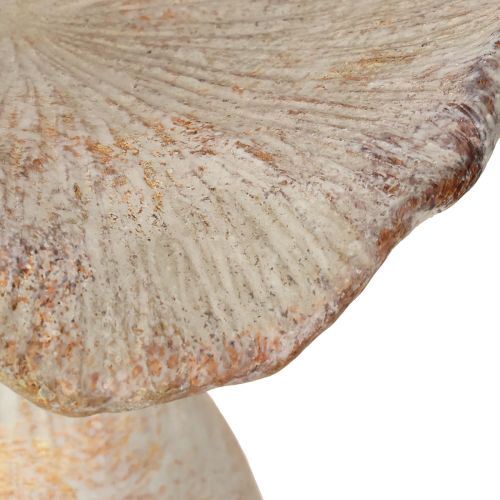 Artículo Hongo decorativo de piedra fundida, decoración otoñal, gris lavado, 19×15 cm, alto 23 cm