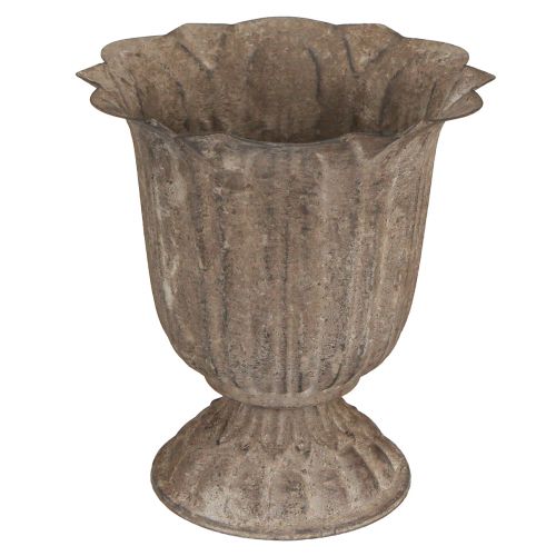 Floristik24 Macetero trofeo decorativo aspecto antiguo gris marrón Ø15cm H16cm