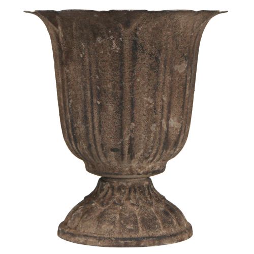 Floristik24 Mini macetero antiguo trofeo decorativo gris marrón Ø12cm H13cm
