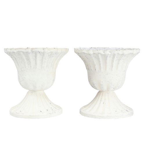 Floristik24 Taza Decorativa Shabby Chic Cáliz Blanco Ø8cm H8.5cm 2ud