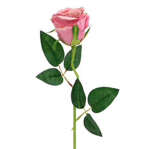 Floristik24 Rosa decorativa Ø6cm rosa antigua L50cm 1pc
