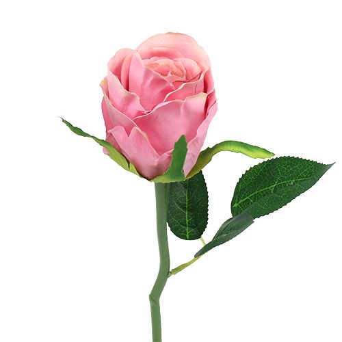 Floristik24 Rosa deco Ø6cm rosa L30cm 6pcs