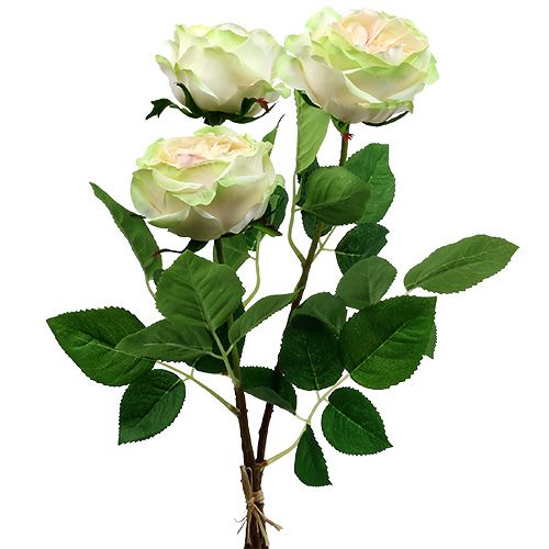Floristik24 Rosa deco rosa crema Ø10cm 52cm 3pcs