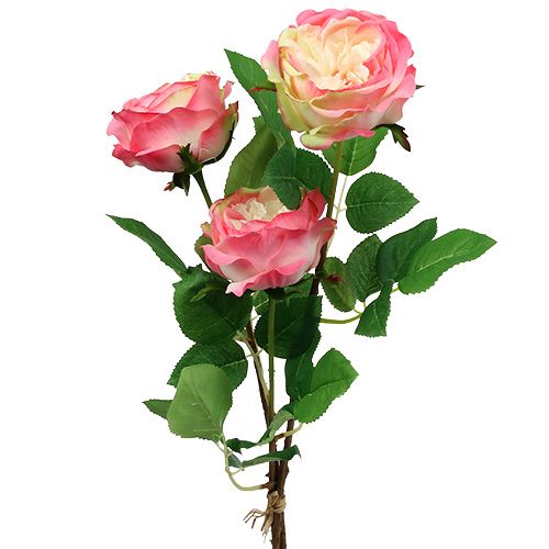 Floristik24 Deco rosa rosa Ø10cm 52cm 3pcs