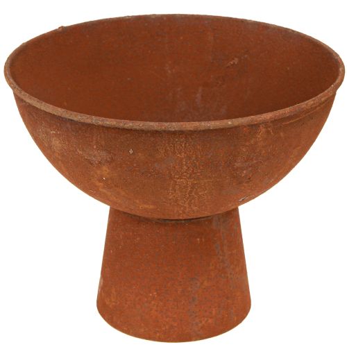 Floristik24 Cuenco decorativo con pie cuenco metal óxido Ø20,5cm 2ud
