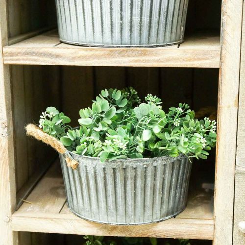 Floristik24 Cuenco decorativo, macetero con asas, cuenco de flores para plantar Ø25cm