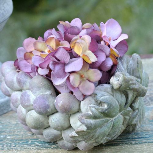 Floristik24 Cuenco decorativo uvas gris violeta crema 19×14cm H9.5cm