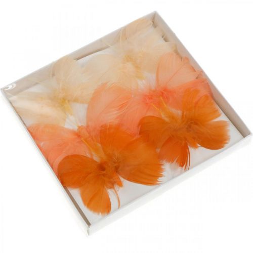 Floristik24 Mariposas en tonos naranjas, decoración primaveral Mariposas de plumas en alambre 6 uds.