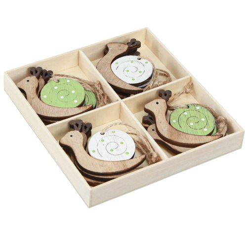 Artículo Adorno decorativo de madera de caracol para colgar verde natural 6,5cm 12 piezas
