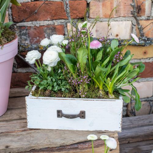Floristik24 Cajón decorativo caja de plantas blanca madera vintage look 25×13×8cm